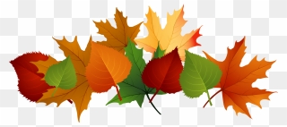 Pile Of Leaves Drawing At Getdrawings - Fall Leaves Transparent Background Clipart