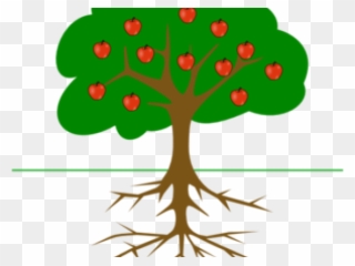 Roots Clipart Tree Trunk - Tree Drawing With Fruits - Png Download