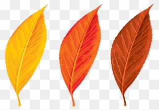 Autumn, Spring, Winter, Seasons, Leaf, Clip Art - Autumn Leaves Clip Art Png Transparent Png