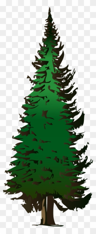Pine Tree Vector Free Download - Pine Tree Clipart Png Transparent Png
