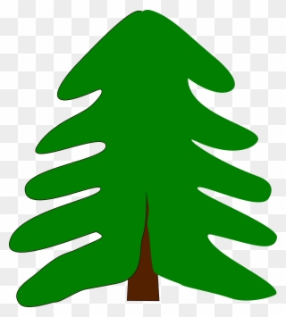 Cartoon Evergreen Tree Png Clipart