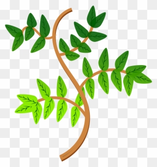 Leaves And Branches Icons - Branches Of Plant Clipart - Png Download