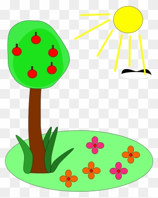 Plant And Clip Art Images Onclipart Free - Summer Clip Art - Png Download