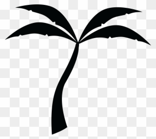 Free Clipart Of A Palm Tree - Transparent Background Free Palm Tree Clipart - Png Download