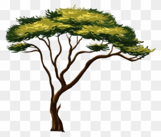 Painted African Png Picture Trees Pinterest - Wall Sticker Safari Animals Clipart