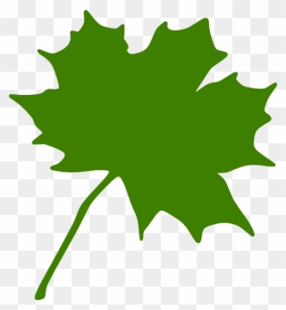 Green Leaves Clipart Clip Art Green - Canada's Maple Leaf Transparent - Png Download