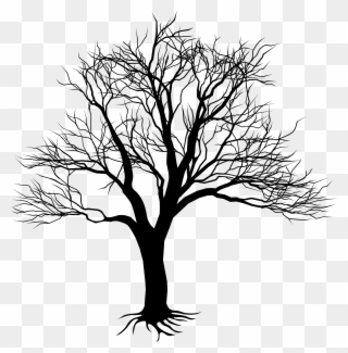 Png Black And White Download Camo Drawing Oak Tree - Kill A Mockingbird Tree Clipart