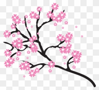 Japanese Cherry Blossom Clip Art - Blossoms Clipart - Png Download