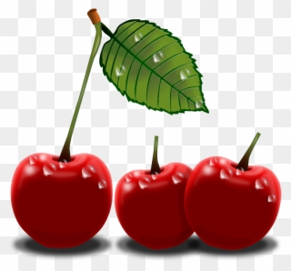 Cherry Clipart Black And White Free Clipart Image 2 - Cherry Png Clip Art Transparent Png