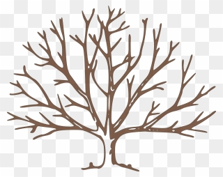 Null - Bare Tree Clipart - Png Download