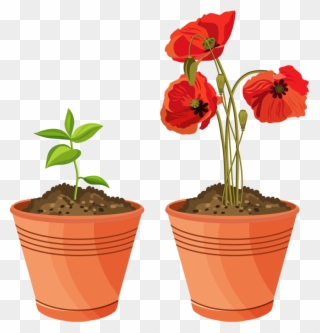 3 House Clipart, Cartoon Stickers, Potted Plants, Flower - Plant Pot Clip Art - Png Download