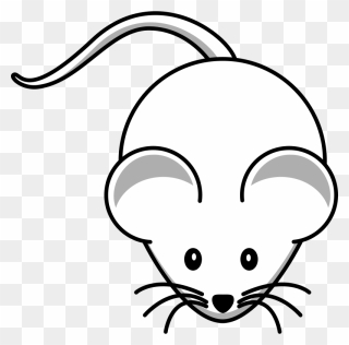 Clip Arts Related To - Cartoon Mouse - Png Download