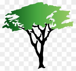 20 Acacia Tree Clip Art - Free Acacia Tree Clipart - Png Download