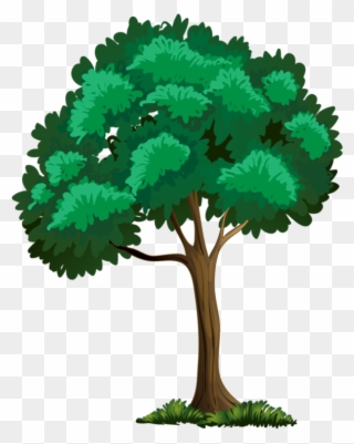 Trees ‿✿⁀°••○ Tree - Trees And Flowers Clipart - Png Download