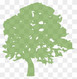 This Free Clip Arts Design Of Oak Tree - Tree Png Clip Art Transparent Png