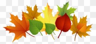 Photos Of Fall Leaf Clip Art Fall Leaves Clip Art Free - Fall Leaves Clipart - Png Download