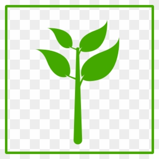 Plant Clipart Basic - Green Plant Icon - Png Download