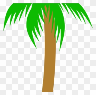 Tree Clipart Clipart Pom Tree - Palm Tree - Png Download