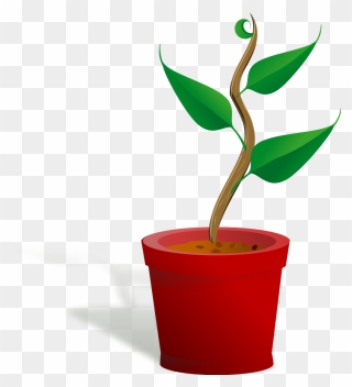 Plant Trees Clip Art - Plant Growing Clip Art - Png Download