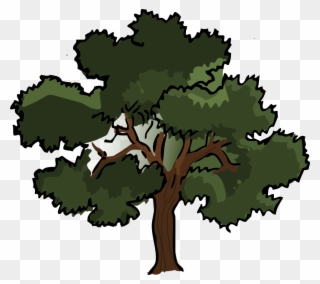 Oak Tree Vector Free Download - Oak Tree Clipart - Png Download