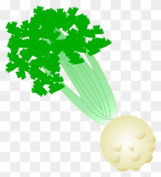 Svg Transparent Library With Root Big Image - Celery Root Clipart - Png Download
