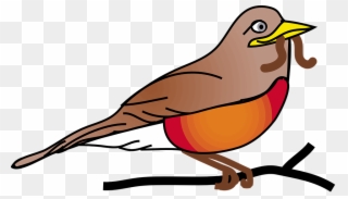 Red Robin Bird Animal - Cartoon Robin In A Tree Clipart
