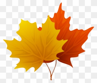 Fall Maple Leaves Png Decorative Clipart Image - Clip Art Leaves Fall Png Transparent Png