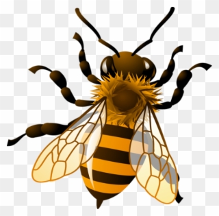 I Recently Had To Have Some Trees Cut Down In My Yard - Realistic Bee Clip Art - Png Download