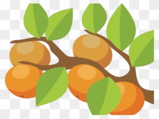 Orange Fruit Clipart Orange Tree - Pohon Jeruk Kartun - Png Download