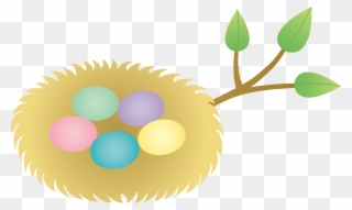 Five Eggs In Nest Clipart - Png Download