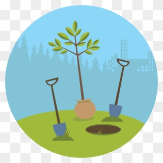 Tree Clipart Clipart Trгє - Plant A Tree Illustration - Png Download