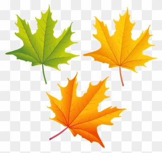 Top 82 Autumn Leaf Clip Art Free Clipart Image - Fall Leaves Clipart Png Transparent Png