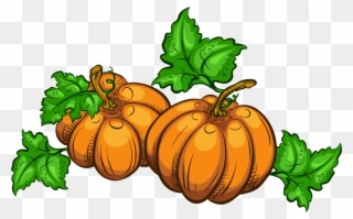 Collection Of Free Transparent Pumpkin Clip Art - Transparent Transparent Background Thanksgiving Clipart - Png Download