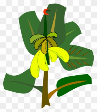 Banana Tree Clip Art - Png Download