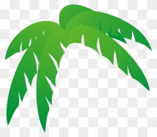 All Photo Png Clipart - Palm Tree Leaves Clip Art Transparent Png