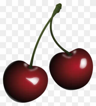 Vy Nios Food Big - Black Cherry Clipart - Png Download