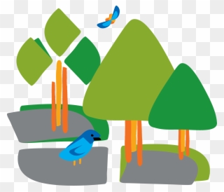 Ever Wondered How To Tell A Beech Tree From A Birch Clipart