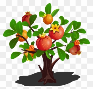 Green Clipart Apple Tree - Pomegranate Tree - Png Download