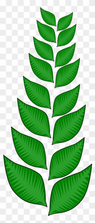 Maple Leaf Clipart Png - Vines Jungle Png Clipart Transparent Png