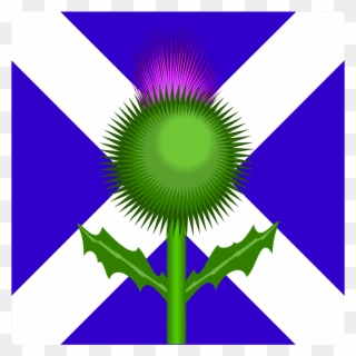 Scottish Thistle And Flag Clipart, Vector Clip Art - Scottish Flag With Thistle - Png Download