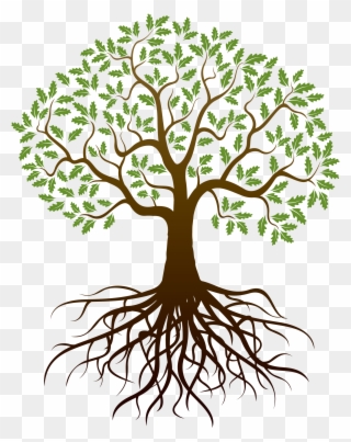 Old Drawing Apple Tree - Tree With Roots Png Clipart