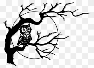 Tree Black And White Simple Black And White Tree Branches - Owl On A Tree Drawing Clipart