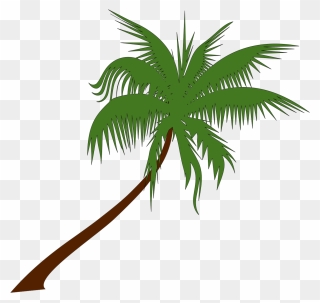 Clipart Info - Palm Tree Vector Png Transparent Png