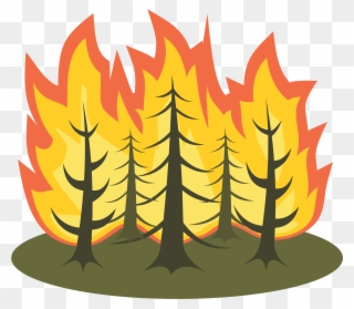 Forest Fire Clipart Group Clip Art Library Library - Forest Fire Clipart - Png Download