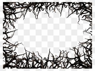 Dead Tree Branch Frame Border Png Clipart Free - Tree Branch Border Transparent Png
