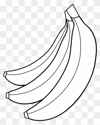 Bunch - Banana Clipart Black And White No Background - Png Download
