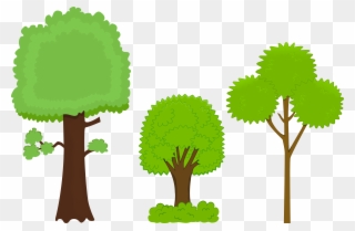 Quickly Clipart Pictures Of Trees Black And White Free - Big And Small Tree Clipart - Png Download