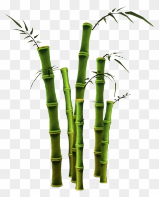 Barbecue Clipart Memorial Day - Bamboo Tree Png Transparent Png