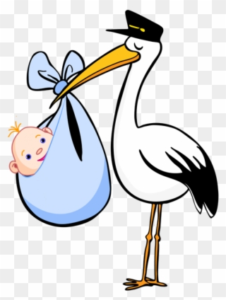 Pix For Stork Baby Png - Stork Baby Clipart Transparent Png