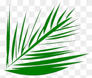Big Image - Palm Trees Lent Transparent Background Clipart